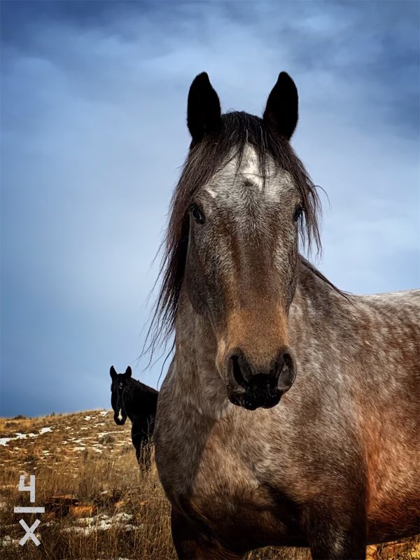 A MESSAGE FROM BRN: The powers that be are working on restoring the ORIGINAL 250k strong platforms, stories and images you supported. PLEASE, bear with us and throw chunks of coal at HACKERS.