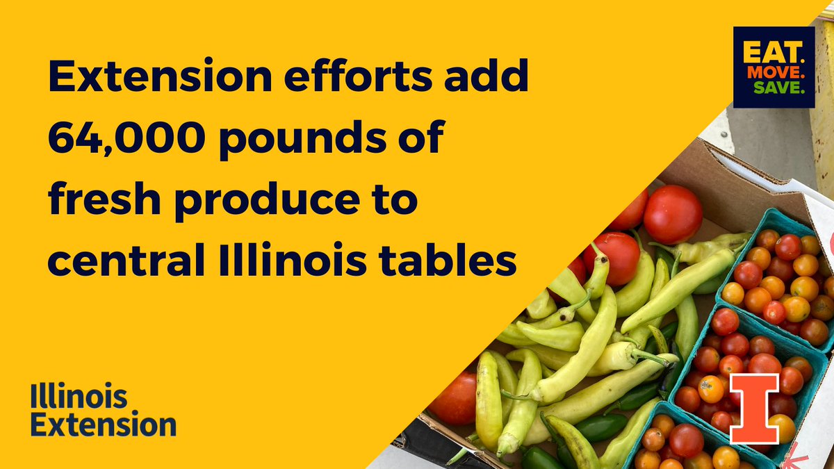 64,000 pounds of fresh produce for IL families in need thanks to central IL partnership extension.illinois.edu/news-releases/… #SNAPedWorks