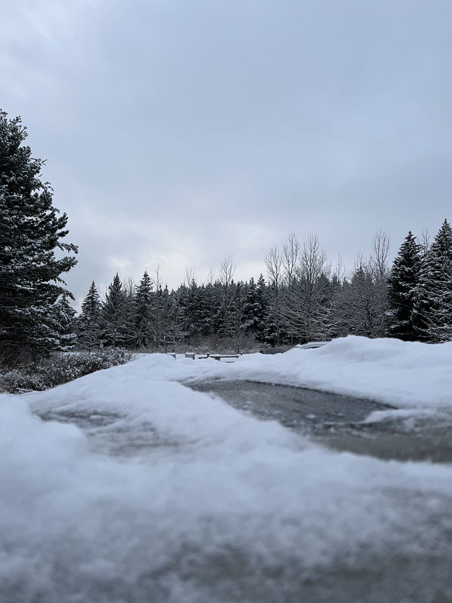 Tiberious_Sheru's tweet photo. His favourite time of the year is back. #husky #siberianhusky #winter #snow #winterwonderland #nature #naturephotography #outdoors #hiking #hikingadventures #adventure #adventurewalk #scenery #brampton #iphotography #wildernessculture #wilderness #pet #pets #getoutside #dog https://t.co/YkAyTCt0Wc