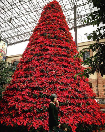 ____ 

#Christmas tree with mexican flowers