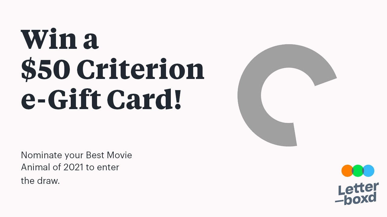 Letterboxd on X: 🐈 Nominate your BEST MOVIE ANIMAL OF 2021 and be entered  to win a $50 Criterion e-Gift Card! 🗳️🎁 Quote tweet with your nomination  now—don't forget to include the