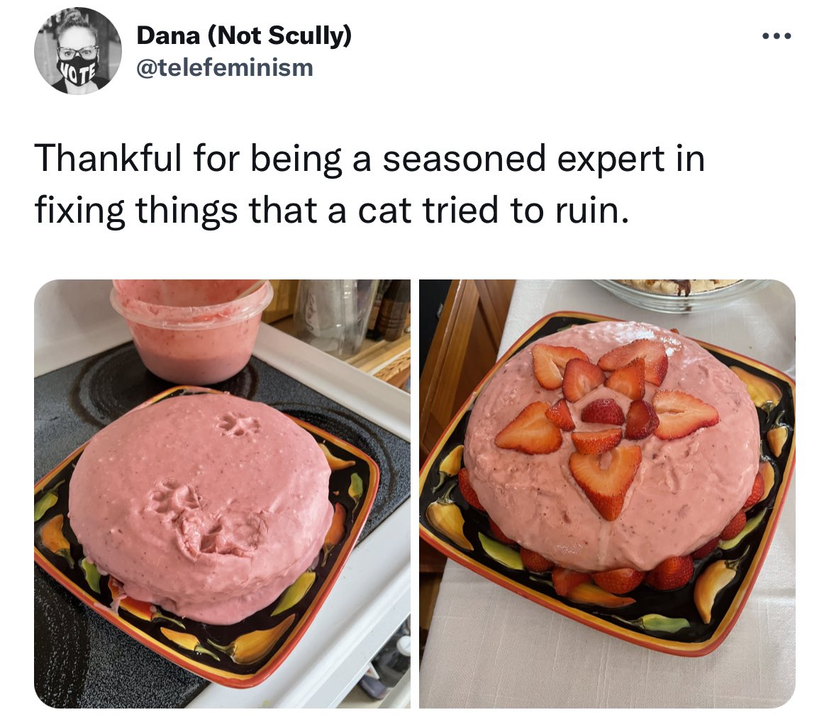 morganisawizard's tweet photo. does all this for a virus with almost a 100% survival rate, yet eats food stepped on by an animal who shits in a litter box. nice. https://t.co/MSxHcCpotn