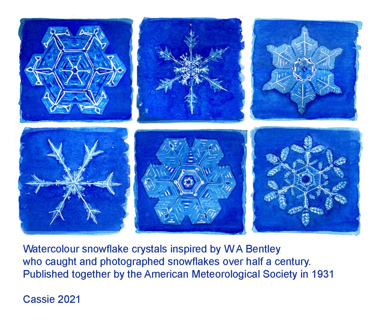 CassieHSart's tweet photo. @SmithsonianArch ... a fabulous resource of visual reference for art and design inspired by nature. https://t.co/hpiHEJNYFO