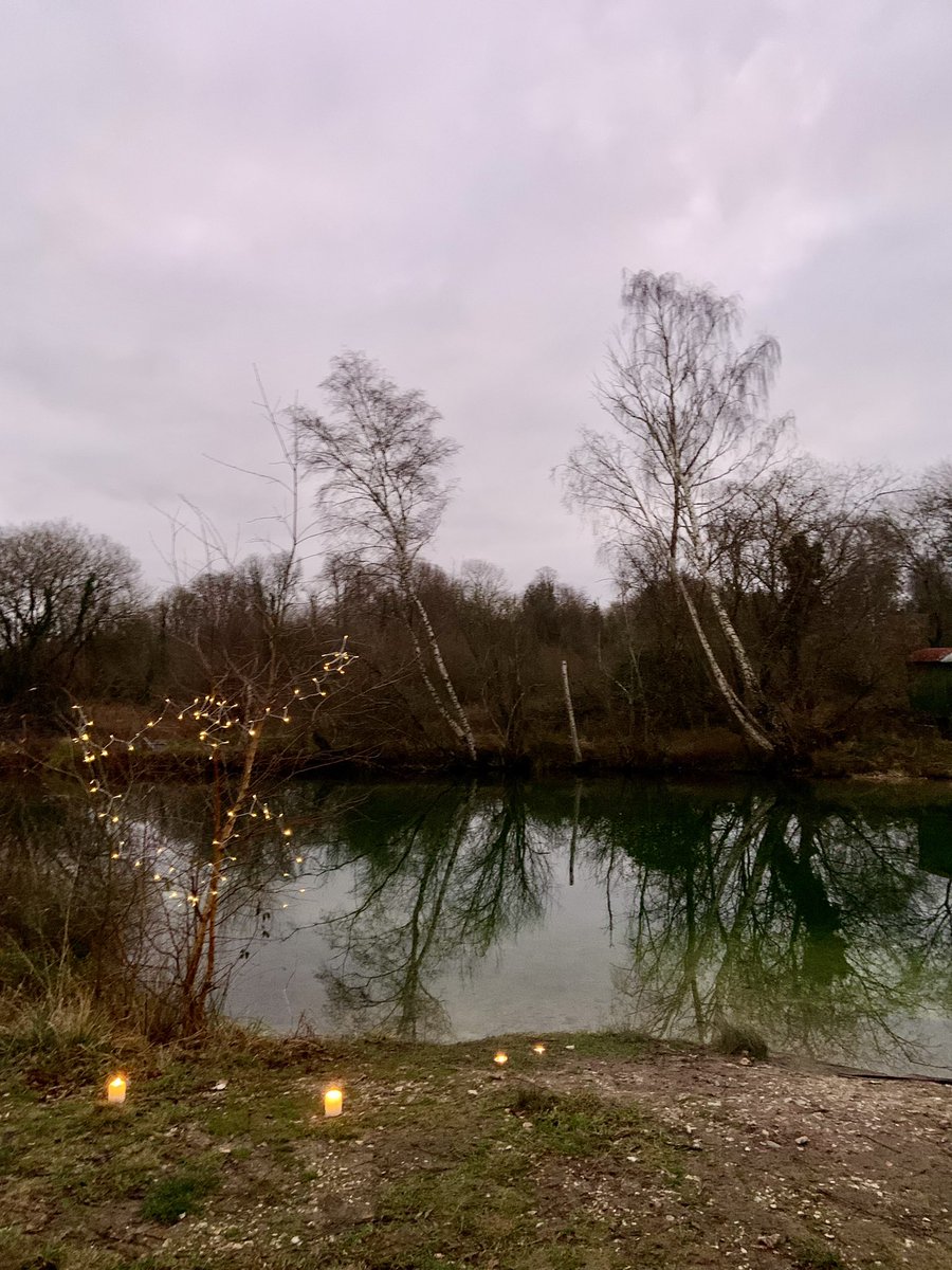 Dip Advisor tweet media