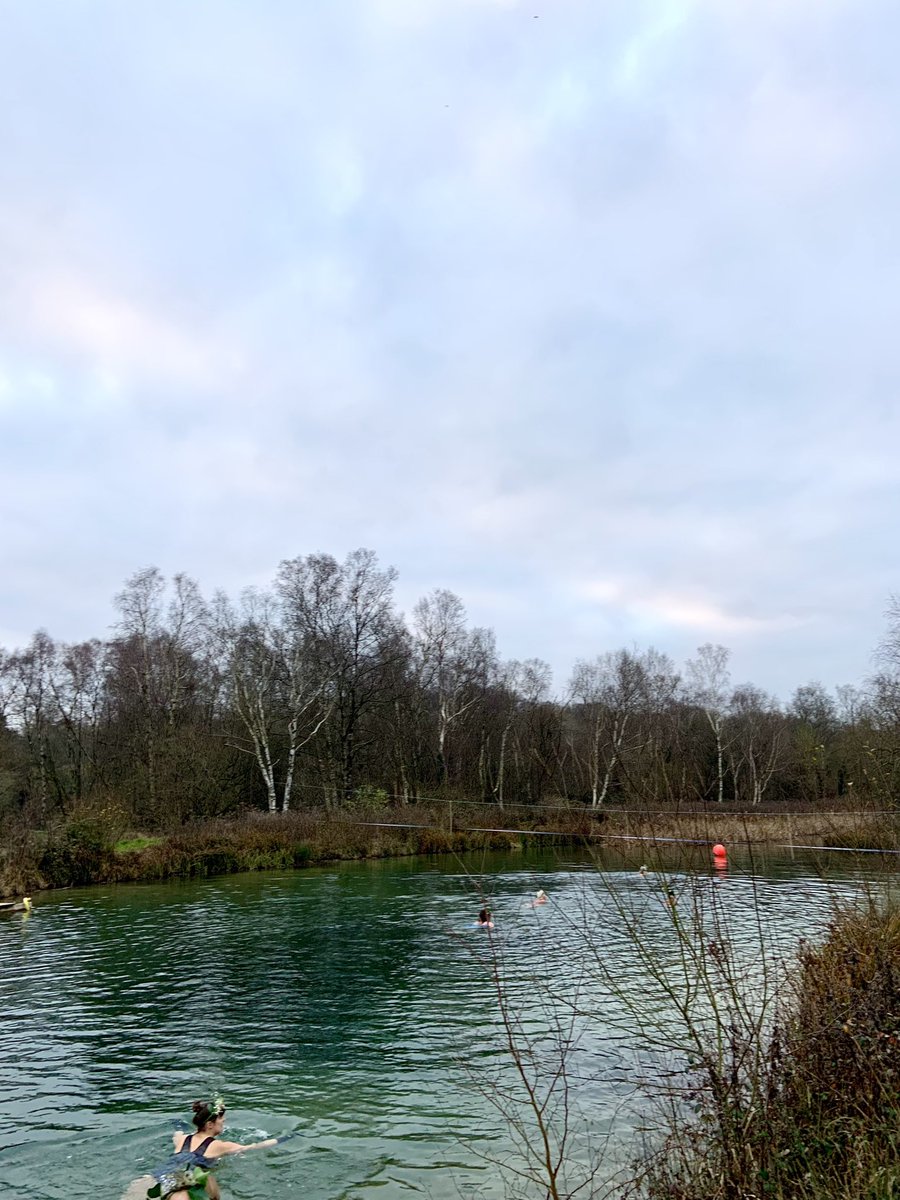 Dip Advisor tweet media