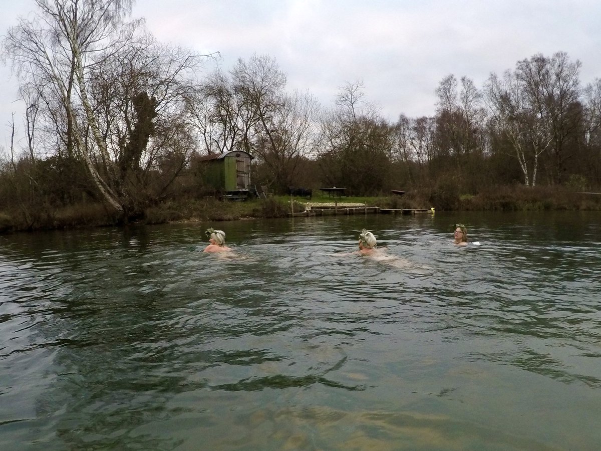 Dip Advisor tweet media