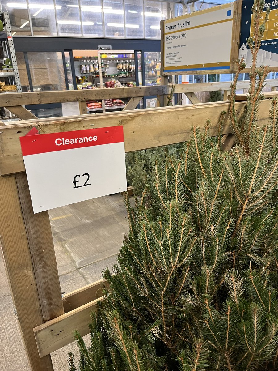 tpc1981's tweet image. Anyone still need a Christmas Tree? They are all reduced to £2 each for all sizes in B&amp;amp;Q