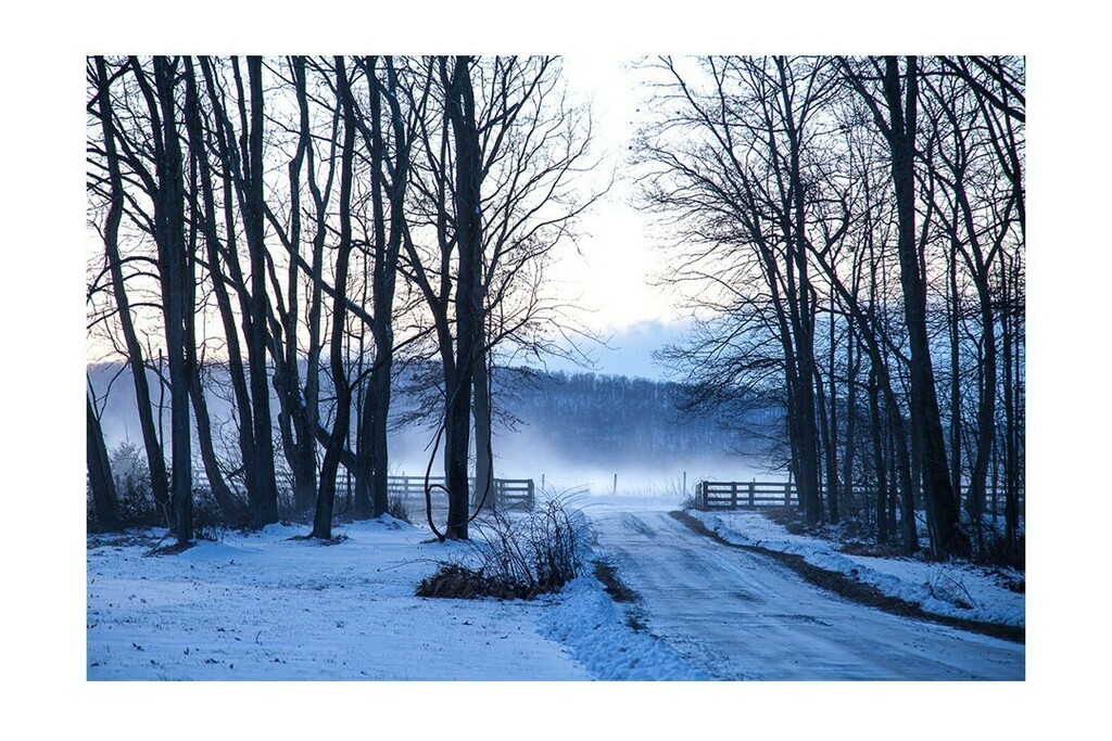 Today is the winter solstice, a time for deep rest, for going inward to heal what needs healing, and to dream what needs dreaming. 

I like these lines from a poem by Adrienne Maree Brown:

“may we know, without question
that there is time for our rest
m… instagr.am/p/CXv4-xaFBH2/