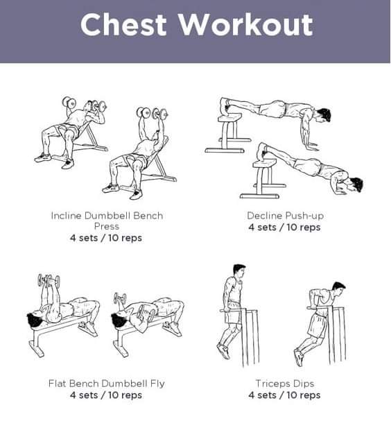 ⅭZ༝🔶 Вlnanсe on X: Bicep/Tricep Day #sachintendulkarsportsclub