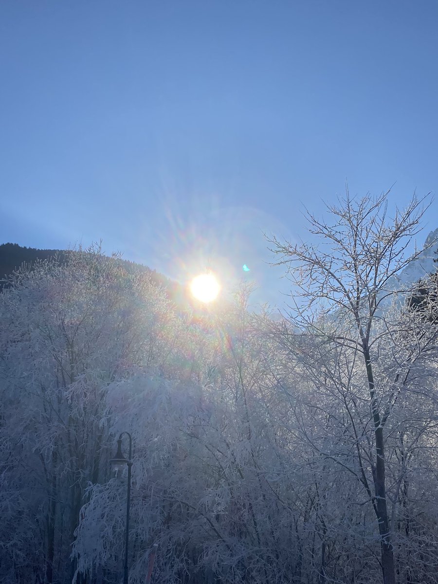 FranziMaetzel's tweet photo. Winter wonderland!!!!! #mountainlife #winter #bluesky #beautiful #nature #outside #outdoors #montafon #freezy #sun #meinmontafon #trees #mountains #snow #landscape #beautifulnature #cold #amazing #gorgeous #sunshine #noclouds #nofilter #winterwonderland #dreamy #stunning https://t.co/Pfyj0KsWLk
