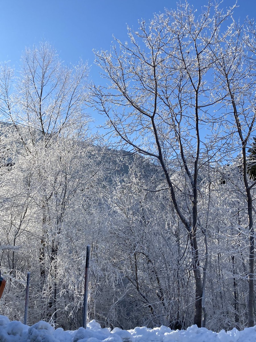 FranziMaetzel's tweet photo. Winter wonderland!!!!! #mountainlife #winter #bluesky #beautiful #nature #outside #outdoors #montafon #freezy #sun #meinmontafon #trees #mountains #snow #landscape #beautifulnature #cold #amazing #gorgeous #sunshine #noclouds #nofilter #winterwonderland #dreamy #stunning https://t.co/Pfyj0KsWLk