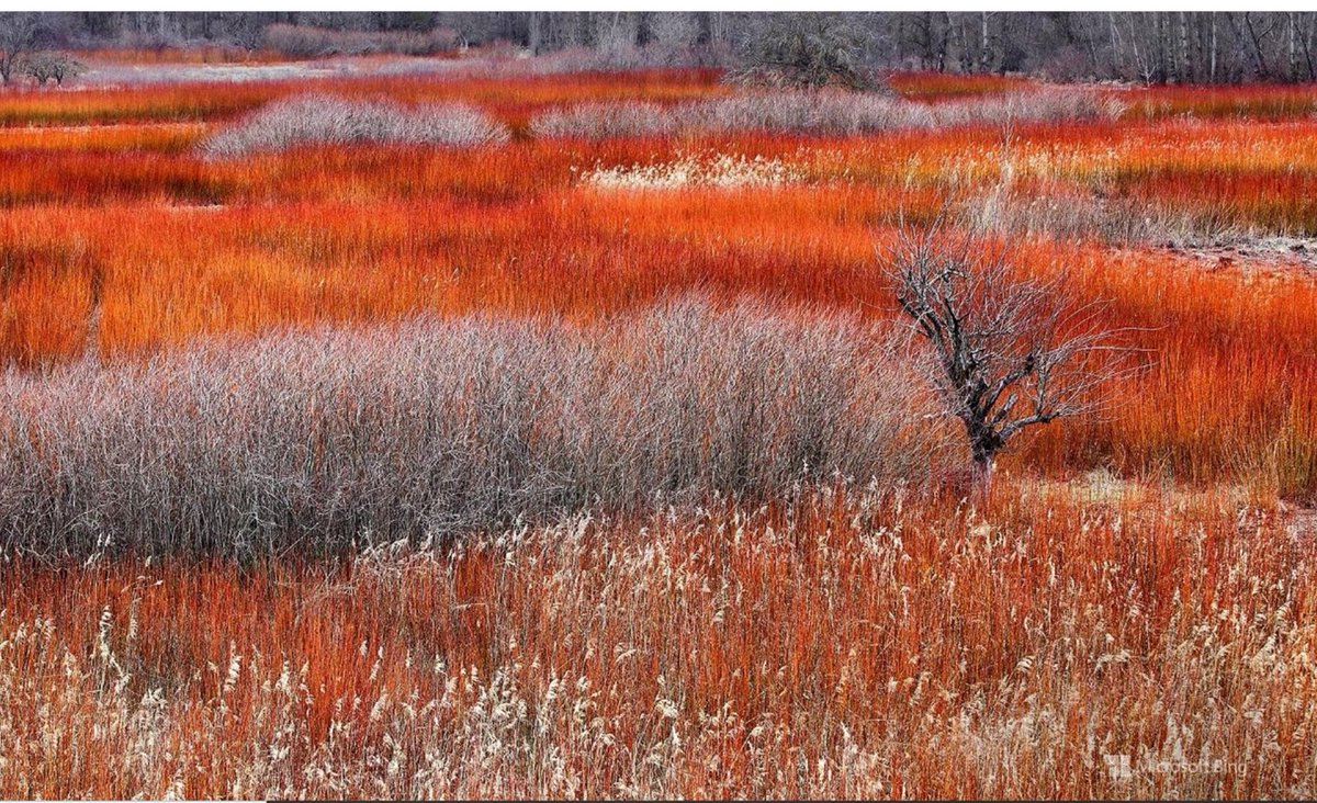 SatwantBee's tweet photo. Some more #BeautifulBingPics for #wellbeing and appreciation: https://t.co/5bwneOUr5v
