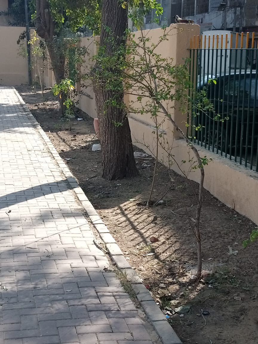 Project100Parks's tweet image. #Project9 is the development of Al-Mustafa park that is carried out by KMC through their Development program. This park in F B. Area block 7 is few places where vicinity can enjoy fresh air &amp;amp; greenery. It was inaugurated by Administrator Karachi Barrister Murtaza Wahab today.