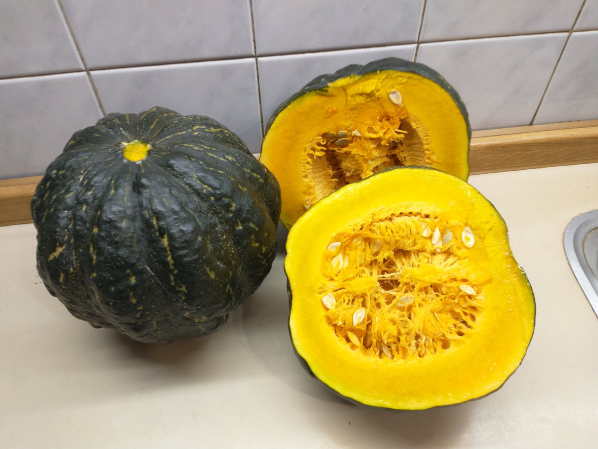ArielMammoli's tweet photo. Gente; como muchos saben soy productor de la provincia de Mendoza. Por muchas cosas me han quedado en el campo unos 80000 kilos de zapallo. Escucho alguna oferta. Me ayudan con RT por si le llega a un interesado? https://t.co/fA4ElENUC5