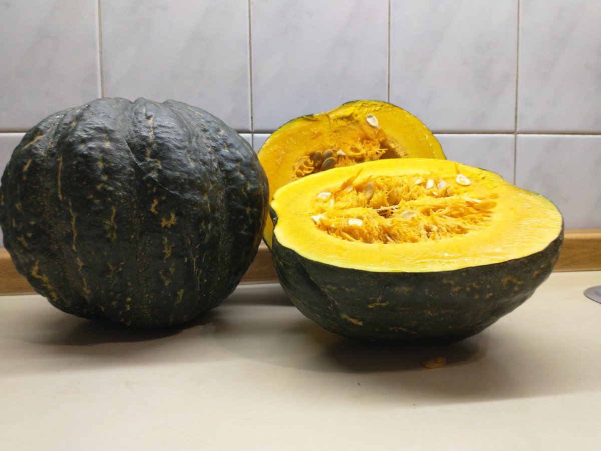 ArielMammoli's tweet photo. Gente; como muchos saben soy productor de la provincia de Mendoza. Por muchas cosas me han quedado en el campo unos 80000 kilos de zapallo. Escucho alguna oferta. Me ayudan con RT por si le llega a un interesado? https://t.co/fA4ElENUC5