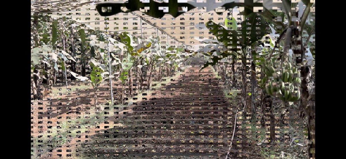 rishikagarg30's tweet photo. @Apple @AppleSupport @AppleMusic  FACING GLITCH IN THE VIDEO WHILE RECORDING, BOUGHT IPHONE 13 Pro 2 days back. Please help. https://t.co/w3b3IoQgmV