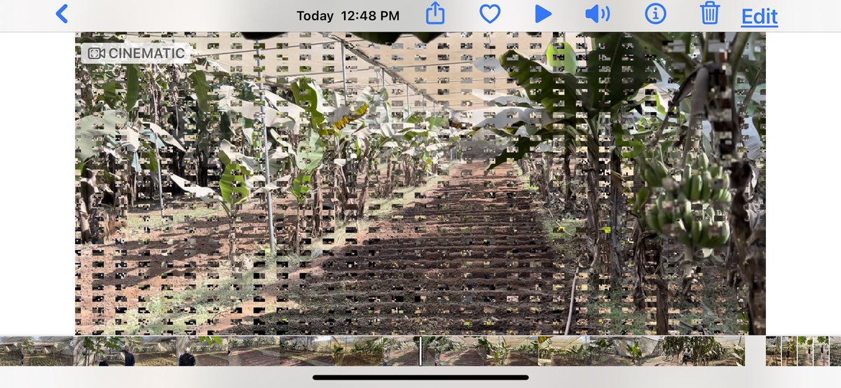 rishikagarg30's tweet photo. @Apple @AppleSupport @AppleMusic  FACING GLITCH IN THE VIDEO WHILE RECORDING, BOUGHT IPHONE 13 Pro 2 days back. Please help. https://t.co/w3b3IoQgmV