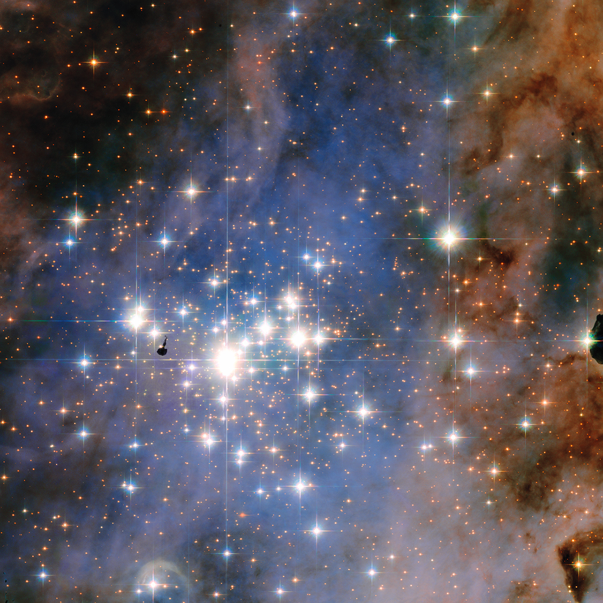 HubbleTelescope's tweet image. In honor of the #WinterSolstice, we present this glittering tapestry of stars in the Carina Nebula, which has one of the highest concentrations of massive, luminous stars in our entire Milky Way galaxy. What is the small, dark knot (left of center)? fal.cn/3kP7r