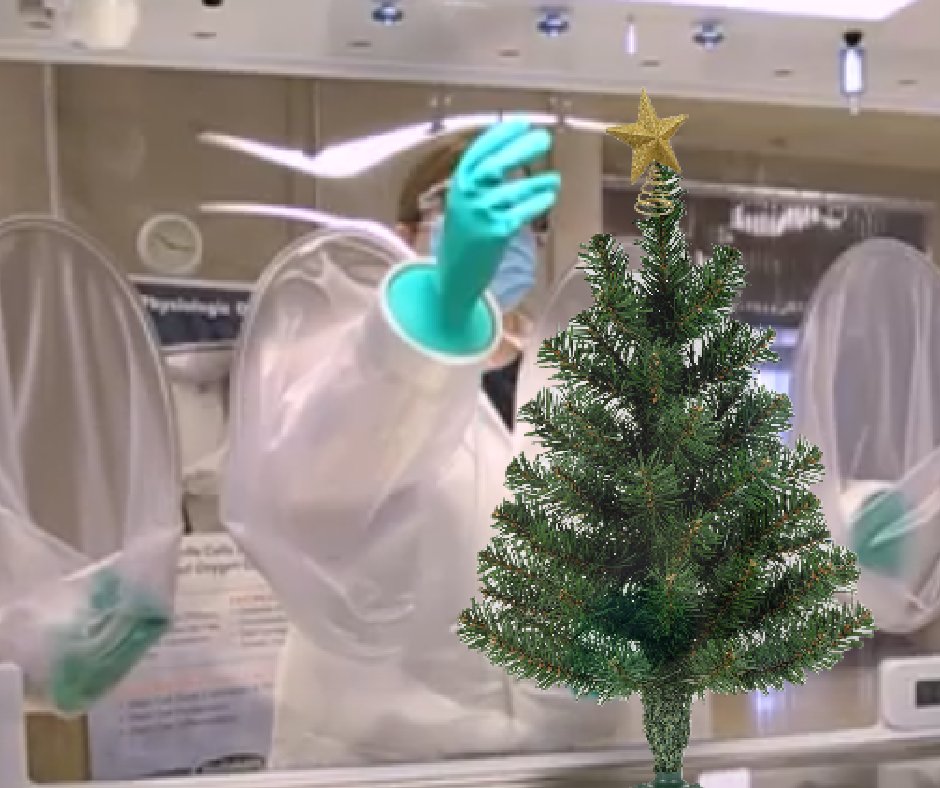 BioSpherix's tweet photo. We're still working on our holiday decorations... it's an exact science. https://t.co/ReQdqlklNM