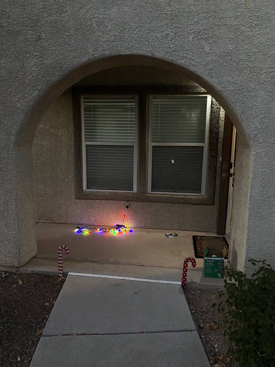 bmerino95's tweet photo. Finally finished putting up our Christmas lights. #winterhaven https://t.co/vuIVuWWcBo