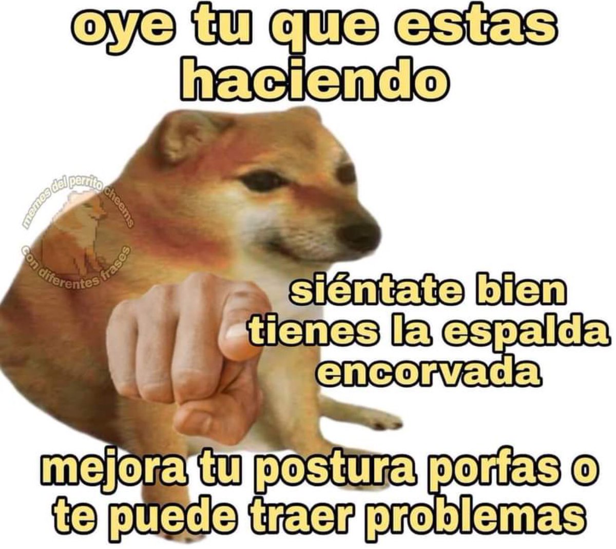 Endereza la espalda tweet media