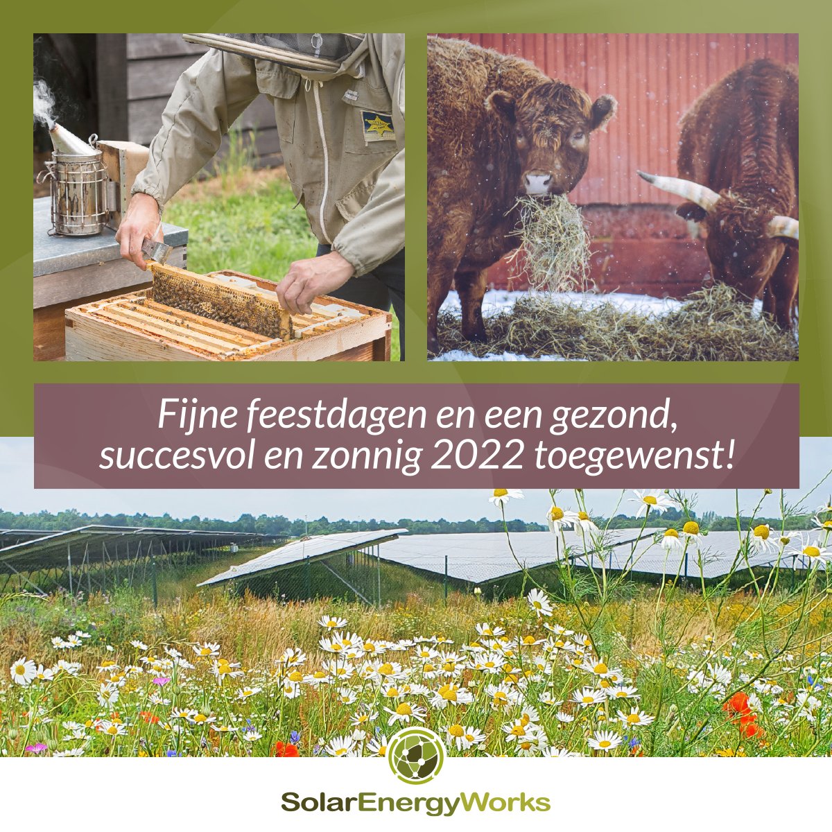 works_solar's tweet photo. Wij wensen u fijne feestdagen en een gezond, succesvol en zonnig 2022 🎄🥂

#fijnefeestdagen #gelukkignieuwjaar #zonneenergie #solarpower #proost https://t.co/7cT6OKjSGF