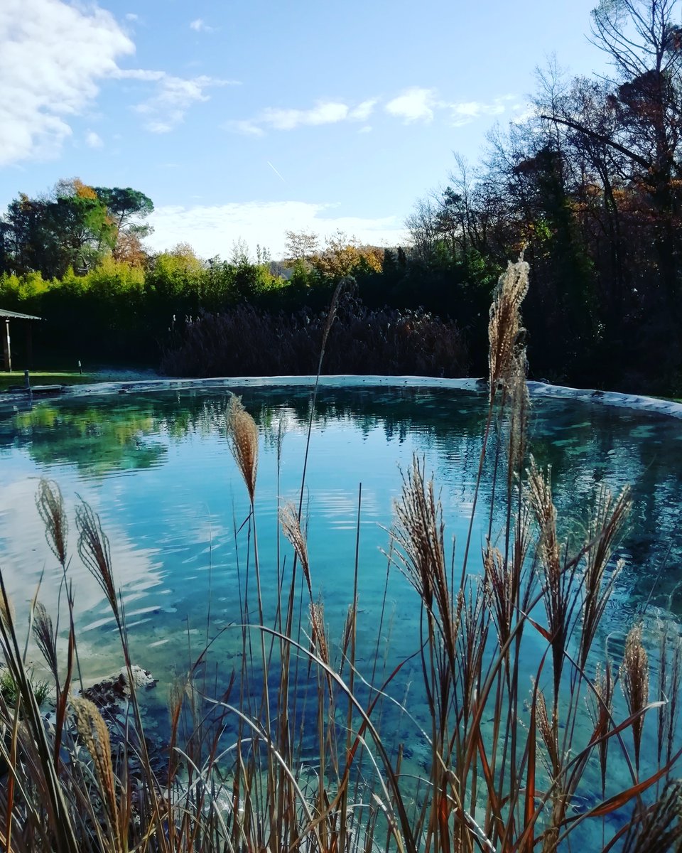 LebbianoResiden's tweet photo. Pomeriggio di dicembre al @LebbianoResiden #resort #toscana #firenze #green #verde #colori #piscina #natura #fotografia #photography #cielo #sky #alberi #water #trees #picoftheday #photooftheday #riflessi #landscape #benessere #wellness #comfort #florence #vacanza #holiday https://t.co/12oFOVXKCP