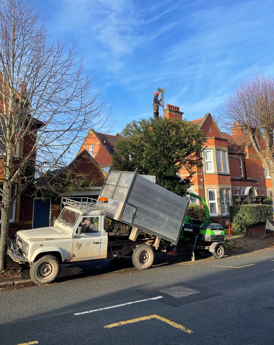 A nice little Yew reduction in Earlsdon #Coventrycity to finish off the year.
See more at arb-aid.co.uk
#treesurgeon #arborist #landscape #coventry #warwickshire #treesurgery