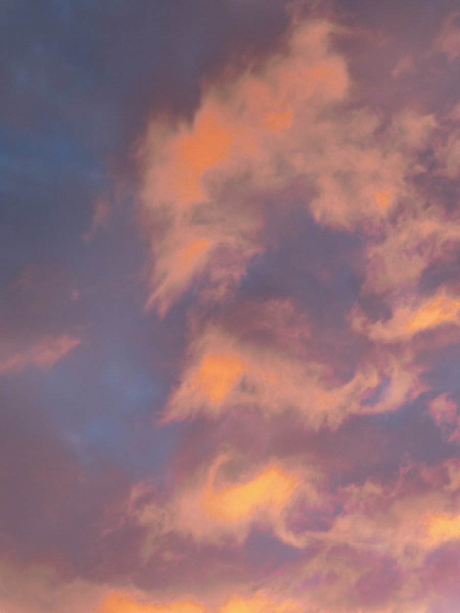 numbersprotocol's tweet photo. We're absolutely mesmerized by this dreamy shot from @Cgouaze in the Capture App 😍 https://t.co/uSgG7uRYfi