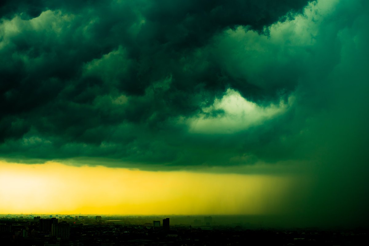 Fotofools 📸 tweet media