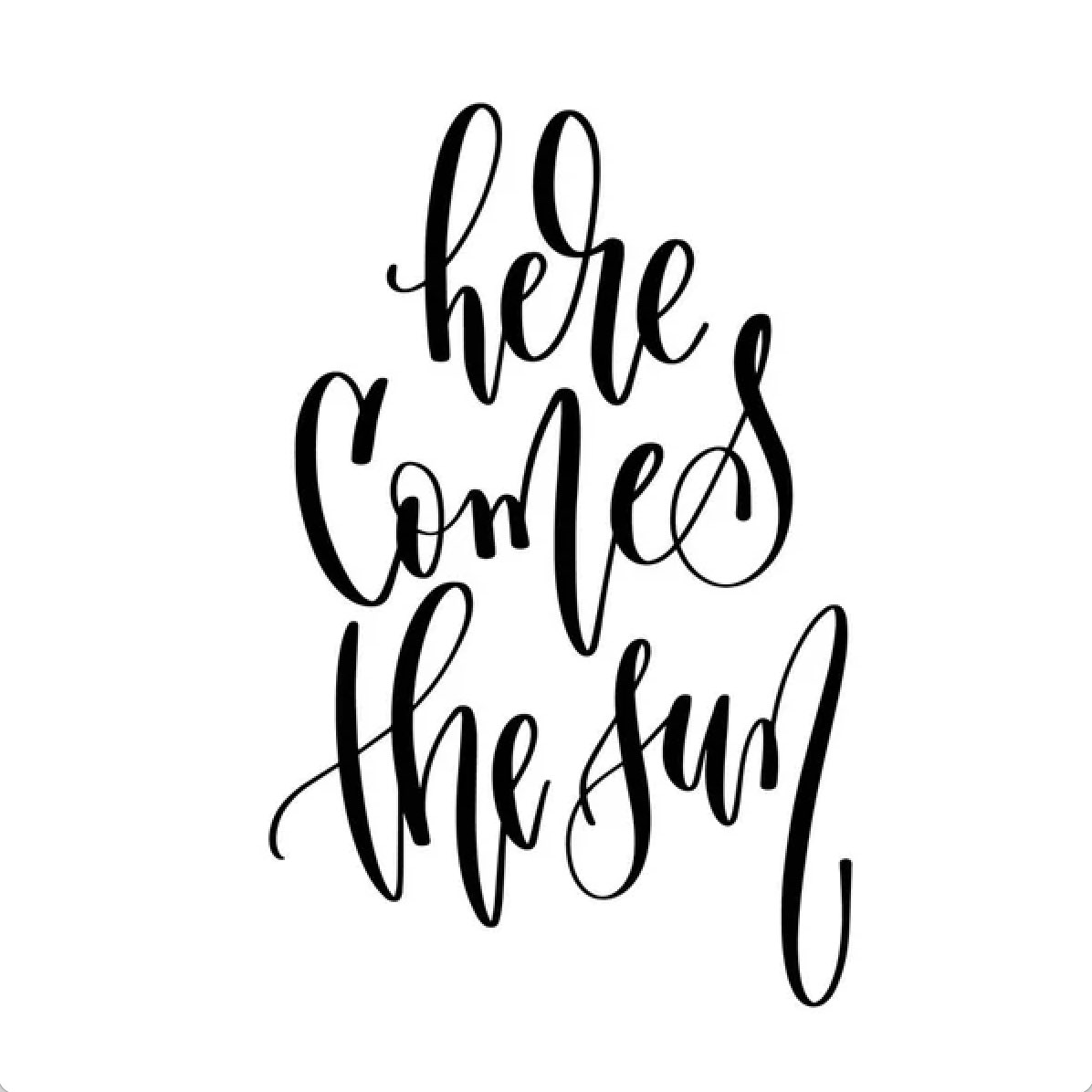 Happy winter solstice! Starting tomorrow, daylight time will increase a little bit every day, all the way until the summer solstice. Bring on the light ☀️