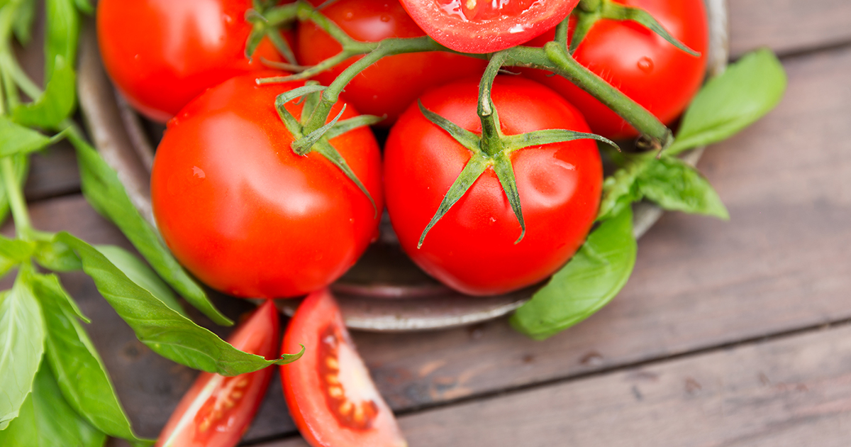 ShopRedSun's tweet photo. Tomatoes on the vine are great versatile options for salads or entrees due to their mild flavour profile. Special tip: Don't take them off the vine until you are ready to eat them.
#RedSunFarms #producetips #tomatoes #produce #greenhousegrown #tomatotips https://t.co/jfpgCsCBZH