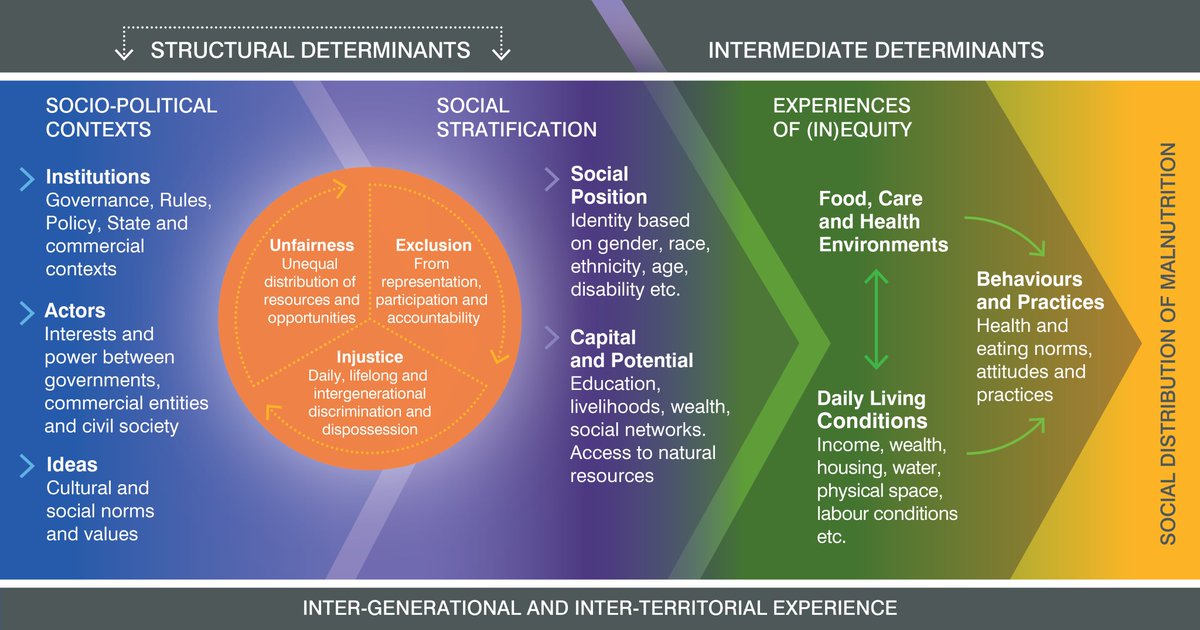 Pleased to share our paper outlining the Nutrition Equity Framework, just published - with <a href="/justjody23/">Jody Harris</a> <a href="/PhilBakerNZ/">Phillip Baker</a> @KBackholer <a href="/vbbjernigan/">Valarie Blue Bird</a> <a href="/SharonFrielOz/">Sharon Friel</a> authors.elsevier.com/sd/article/S22…
based on our earlier contribution to <a href="/GNReport/">Global Nutrition Report</a> thanks also @jessfanzo <a href="/Journal_GFS/">Global Food Security</a> for support!
