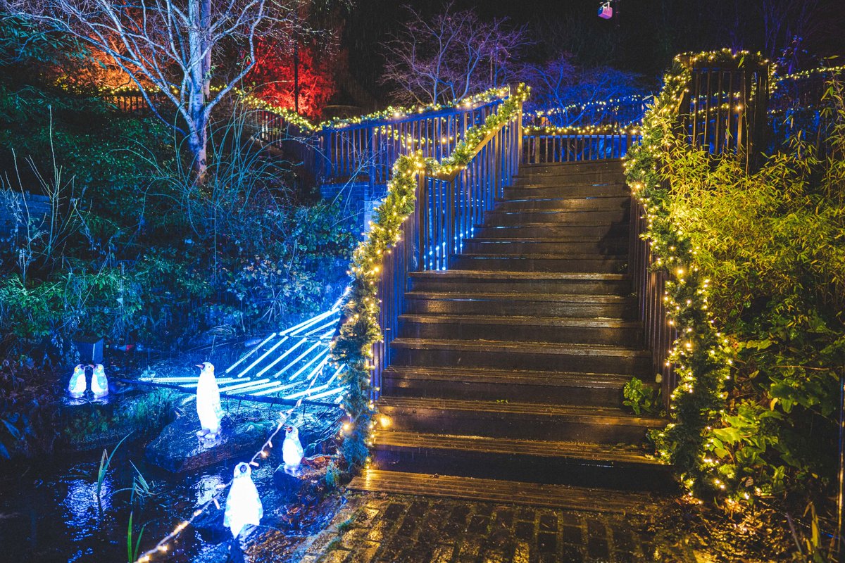 PerthXmas_WL's tweet photo. It’s snow joke that Perth Christmas Wonderland will be closing its doors and having its final sleigh in only two days! Yes, you only have two more days to visit our magical, sparkling, dazzling, family-friendly Christmas Wonderland Experience🎄✨

https://t.co/Lg5F7t0RLI https://t.co/WdJHJ7hFW8