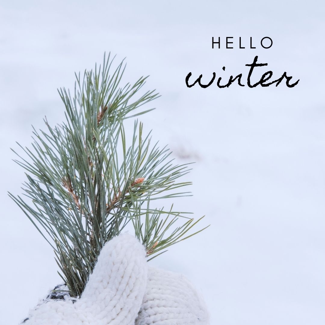 remaxhaliburton's tweet photo. It's that time of year..enjoy the beauty of winter in the Highlands https://t.co/IejCHnw4kw