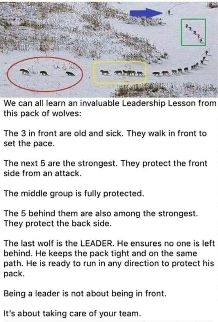 IAFFLocal5219's tweet photo. Leaders be like… https://t.co/ydshto928Y