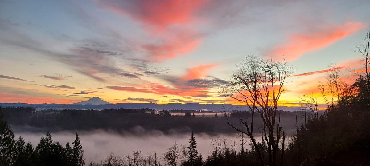 Gorgeous sunrise out of Oregon City this morning. 😍 We're in for some dry time today. Enjoy it! Photo: Martin Delozier #orwx <a href="/KOINNews/">KOIN News</a>