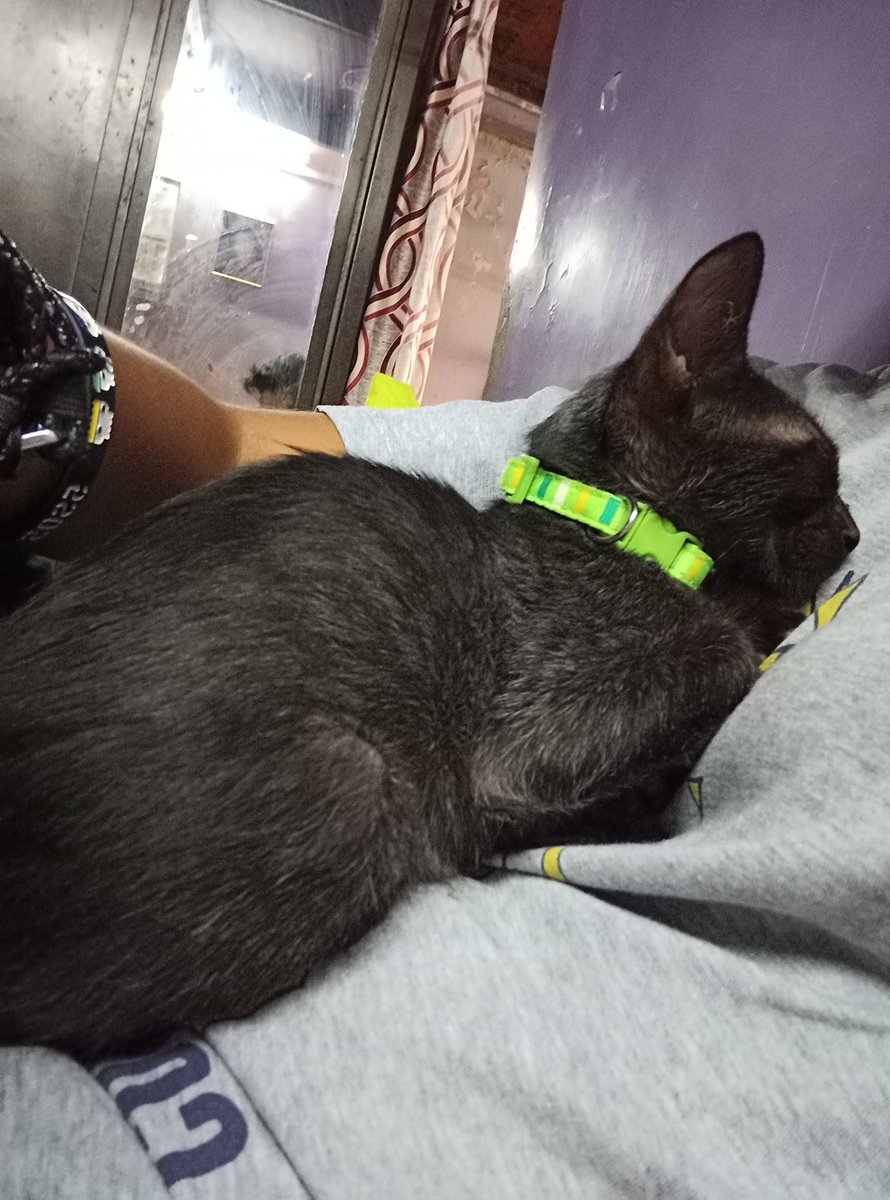 oh_potatoes's tweet photo. @gayapparel_ Here, some more sleepy baby pics - just cuz you love him https://t.co/reCJbXdS5D
