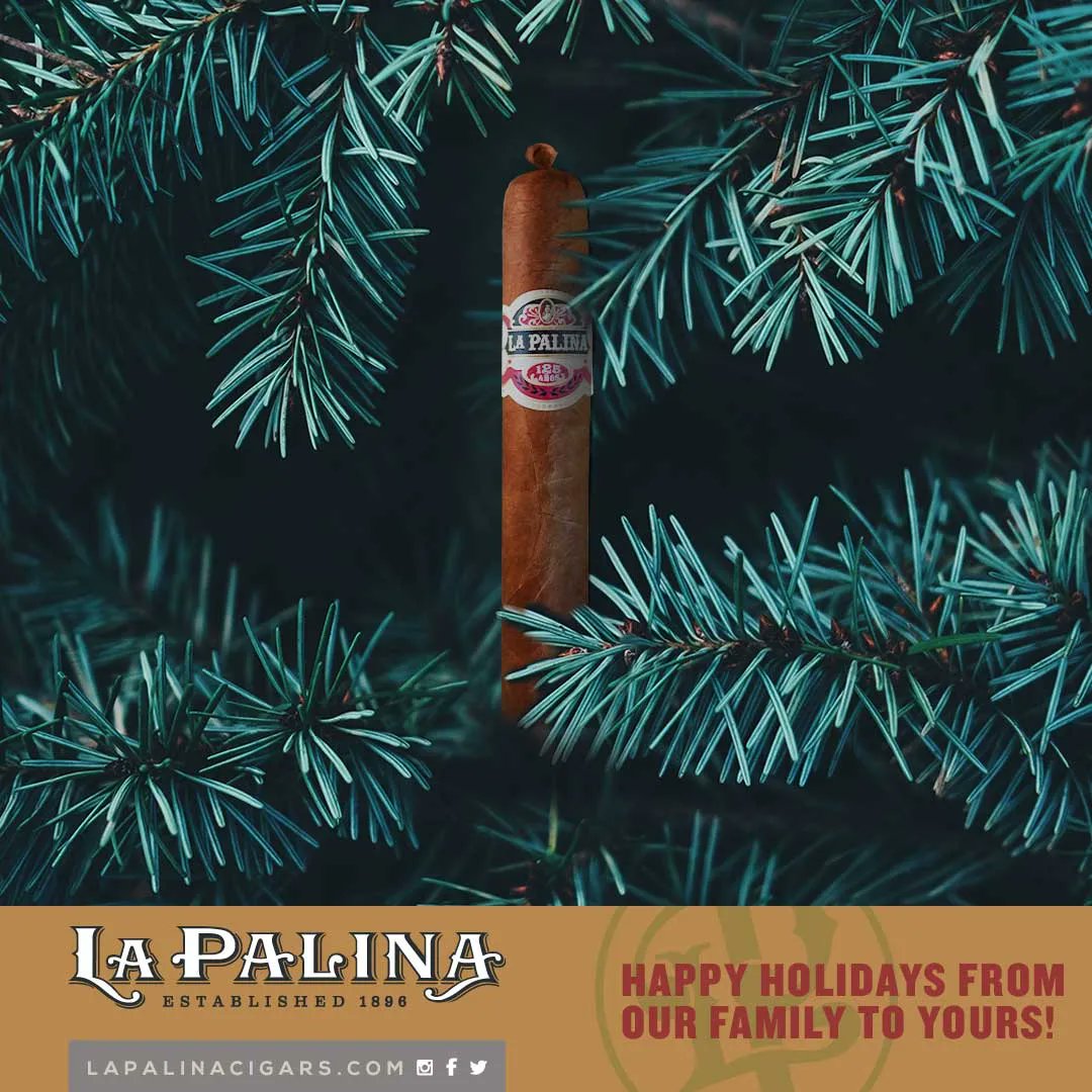 Happy Holidays from the LP family #christmas #photography #explore #travel #christmastree #travelphotography #december #merrychristmas