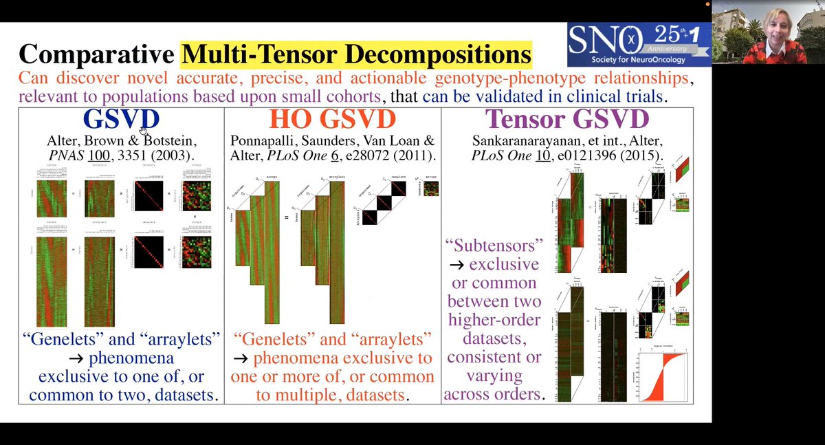 OrlyAlter's tweet photo. Thanks, @SAGRudd! See #SNO2021 presentation on #HighDimensional multi-#Tensor generalizations of the #SingularValueDecomposition & how we use it to improve the #Prognosis, #Diagnosis & #Treatment of #Gliomas:
https://t.co/6jpiNG4Vgp
#AI #ArtificialIntelligence #MachineLearning https://t.co/qMyYluIvpJ