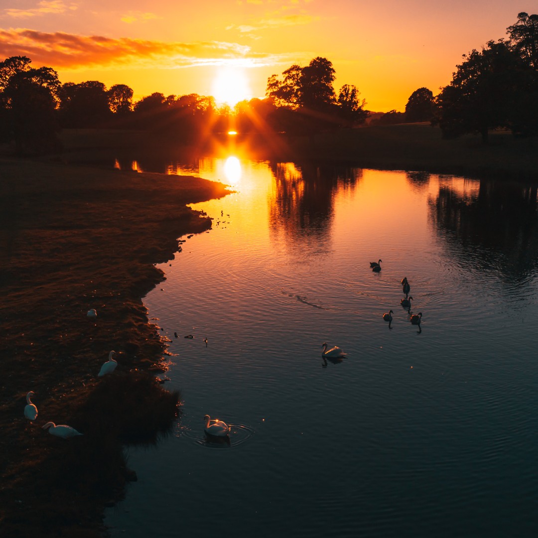 Magical moments when winter solstice arrives at Raby Castle ✨

📸 @lens_core 

#wintersolstice