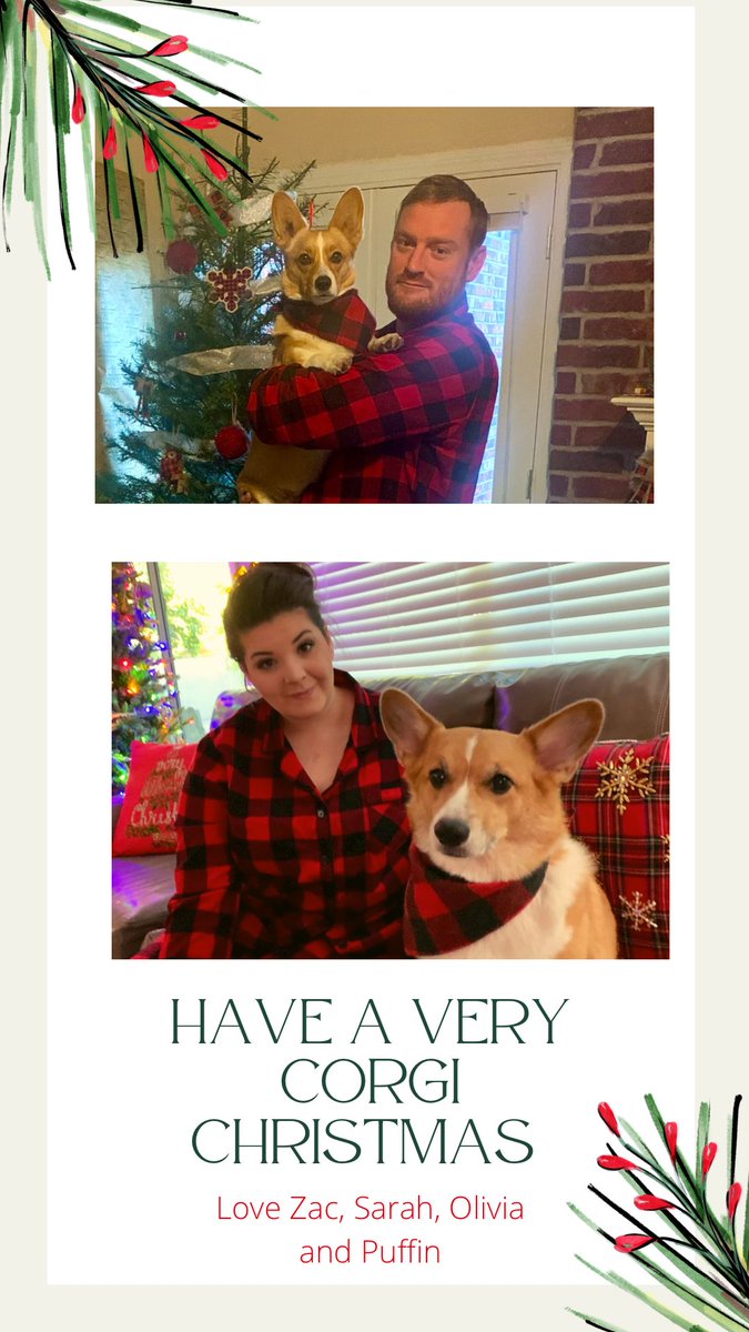 MsSarahMeeks's tweet photo. Have a Very Corgi Christmas @ZacharyTuttle6 https://t.co/0aEhldDZog