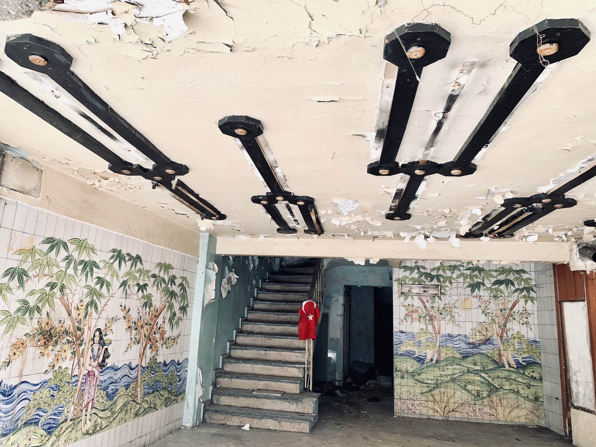 vanessa h larson vanessahlarson twitter