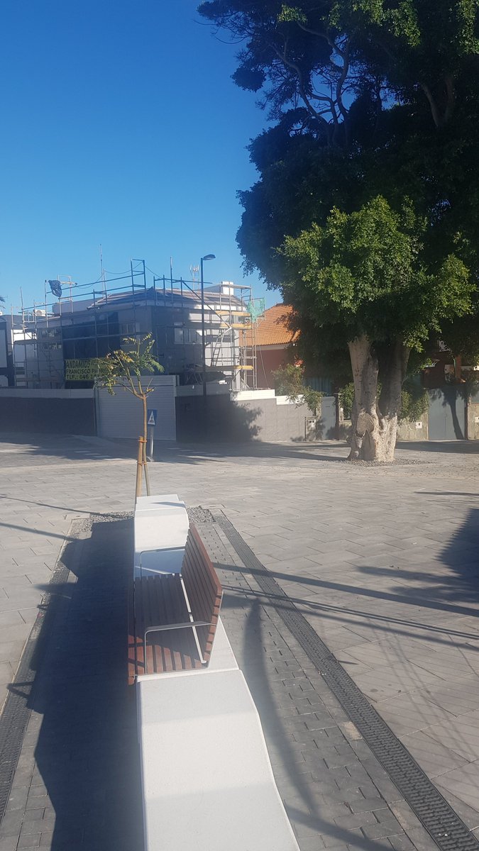 StopArboricidio's tweet photo. "Bancos sin sombra y sombras sin bancos"; así es el diseño de la nueva "Zona #GrisDoreste" de C/Emilio Ley.

#LasPalmasMásGrisQueAyerPeroMenosQueMañana @lpaurbanismo

@jardinesLPG #NiParquesNiJardines https://t.co/GmCR3gHjrV