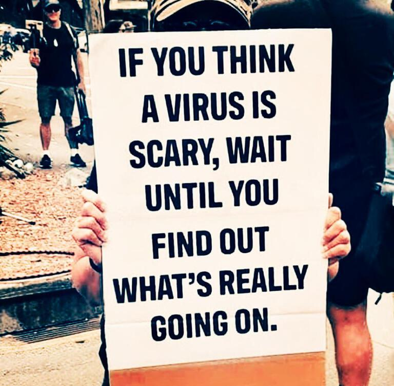 WenatcheeRN's tweet photo. Virus nothing more than a diversion. https://t.co/lNVumjo9HU