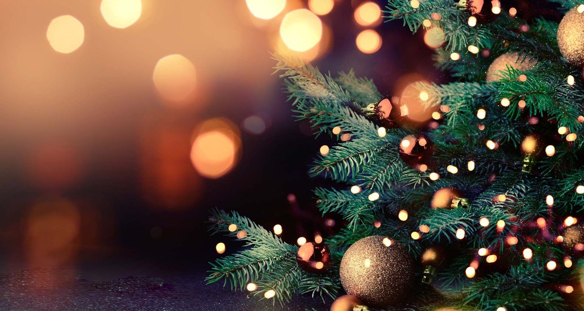 TranseuntesNET's tweet image. ¡Queremos desearles a todos y todas una muy feliz Navidad! Que sea una buena noche compartiendo con gente querida. Abrazos de quienes hacemos Transeúntes 😘