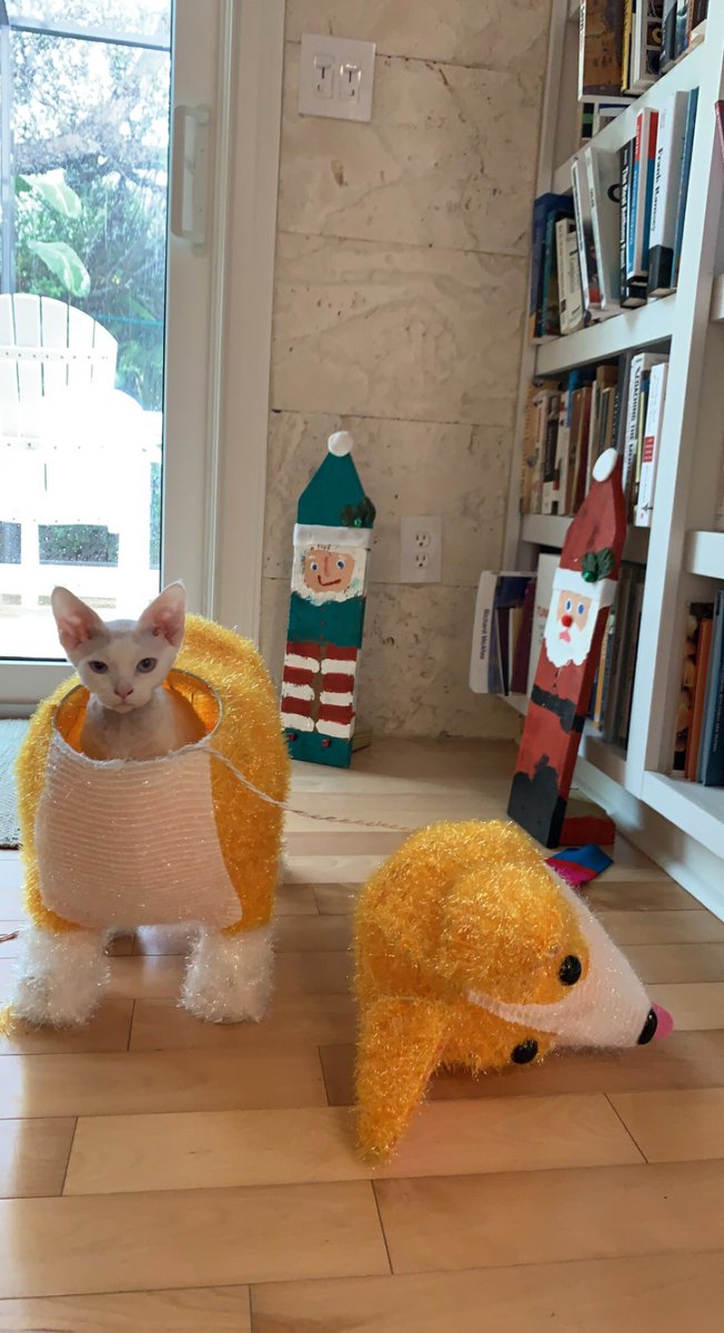 peachysploots's tweet photo. PLZ SHE BEHEADED IT THEN JUMPED IN https://t.co/pbKCnsvVFn