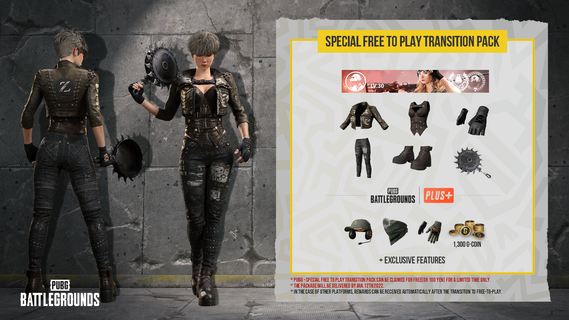Pubg psn on sale