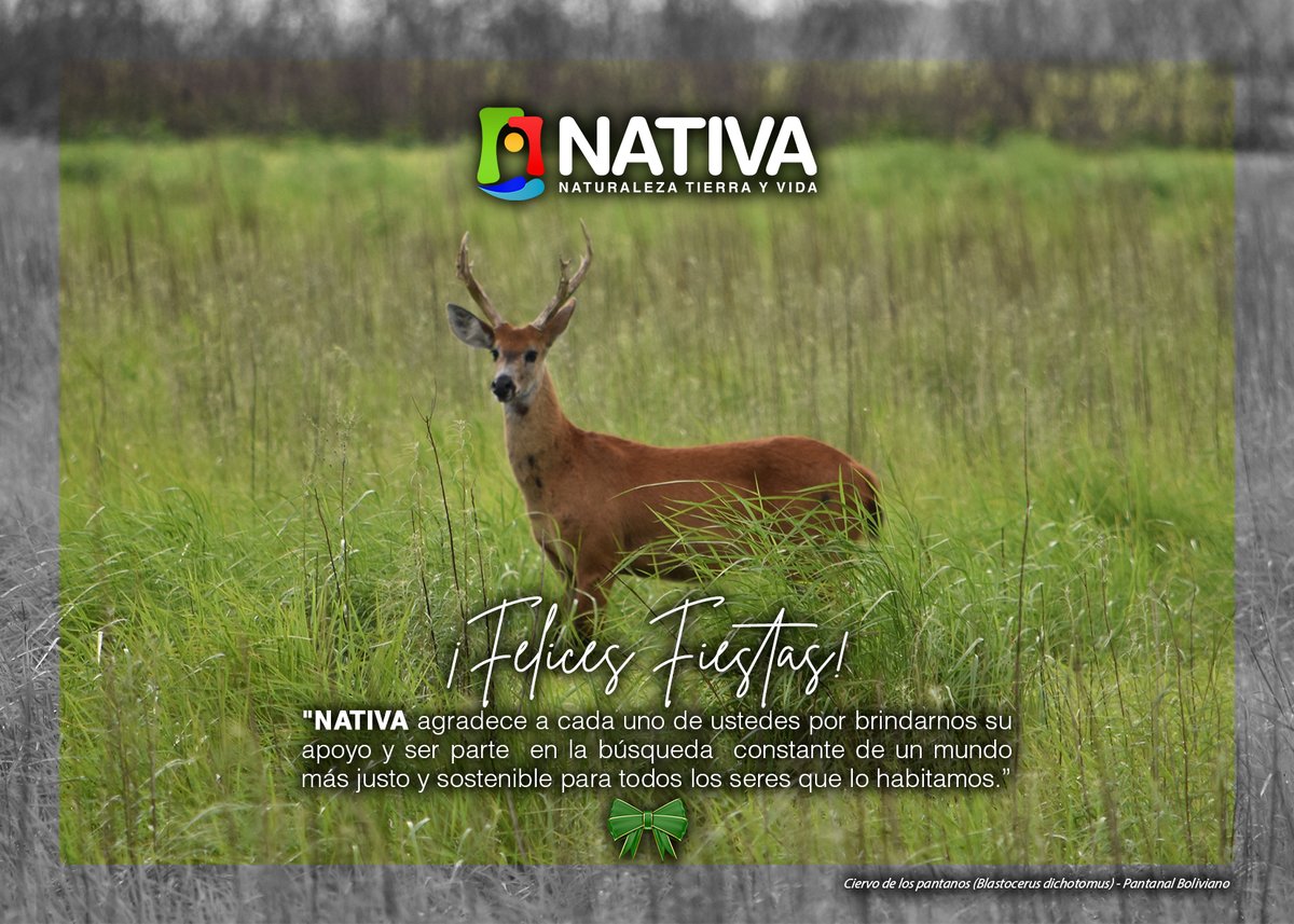 De parte de todo el equipo de NATIVA, les deseamos felices fiestas. Muchas gracias por habernos brindado su apoyo durante todo este año, y esperamos seguir trabajando junto a ustedes por una meta común: un mundo más justo y sostenible.
¡Feliz navidad y próspero 2022! 🥂🥳✨