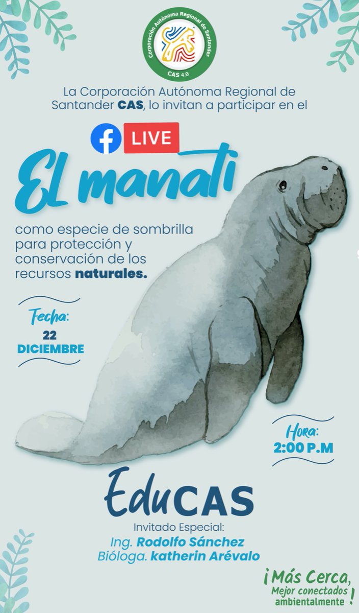 CAS_SANTANDER's tweet photo. ¿Quieres conocer más acerca del #Manatí Antillano? Nos vemos mañana a las 2:00 PM en nuestro #EduCAS a través de Facebook Live. https://t.co/klxOh3q5b1